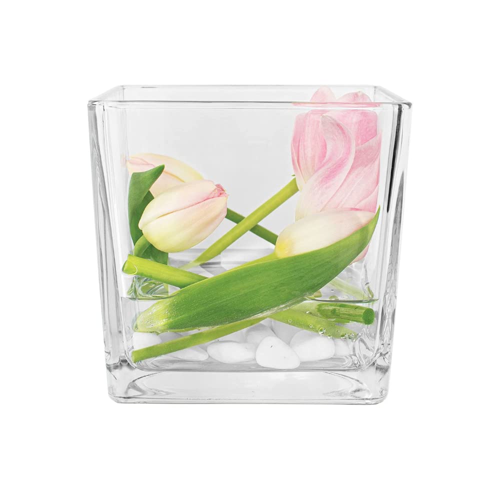 en vente TREND FOR HOME Vase Decoratif Carré 12.5 cm Ph