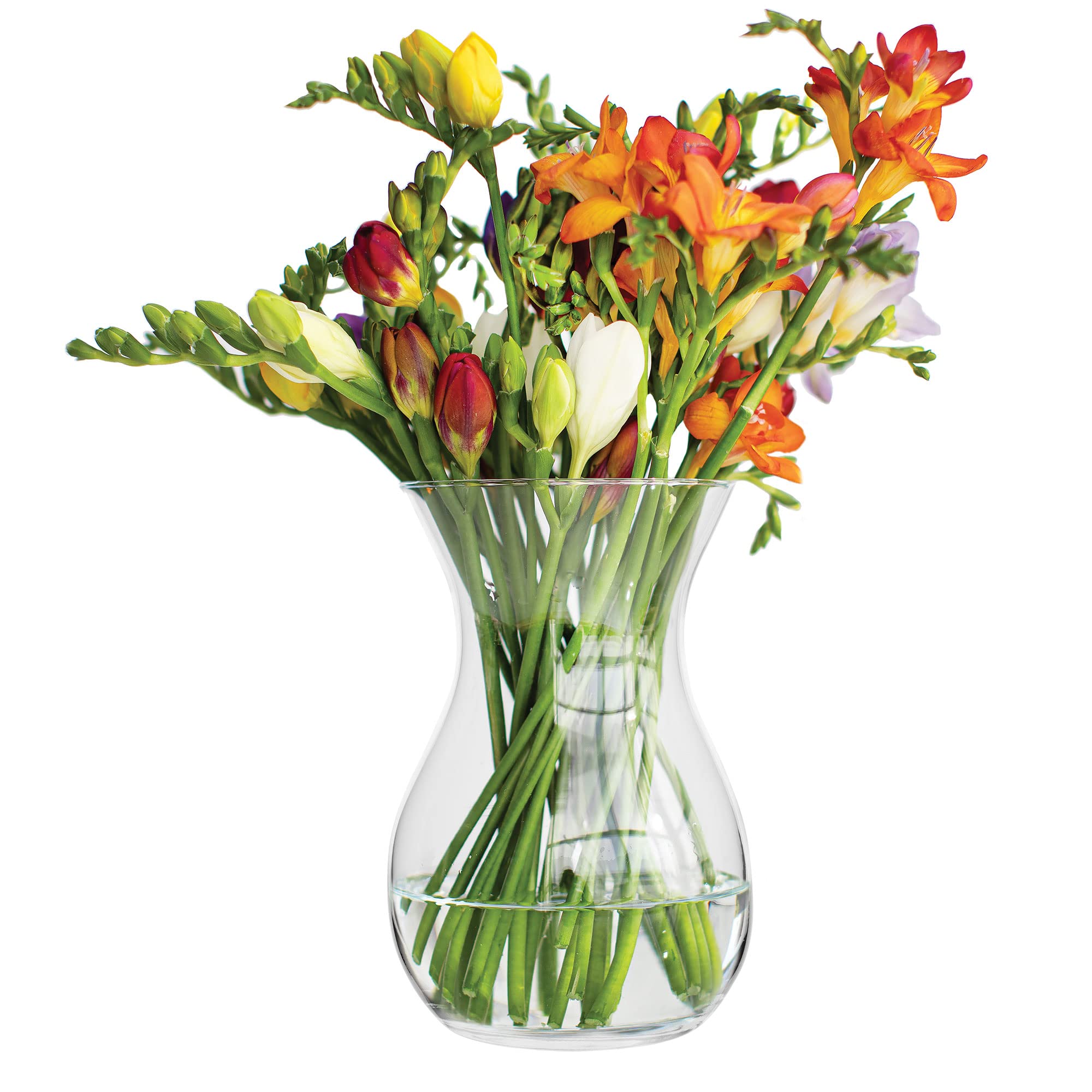 Promotions TREND FOR HOME Vase Fleur Vase en Verre pour Fleurs Decoratif Vase à Fleurs en Verre Décoration Chambre Vase Fleur | 18 cm Hauteur | Poppy | 1229 ML 9z3bZMn11 tout pour vous